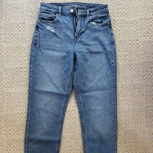 American Eagle Blue Mom Jean